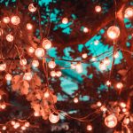 pexels-artem-saranin-1124960 (1)